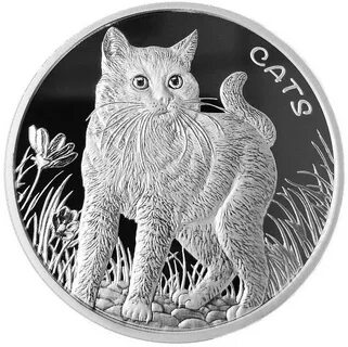 50 кошки