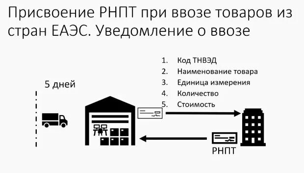 Рнпт фнс. РНПТ пример. РНПТ схема. РНПТ где присваивается. РНПТ пример номера.