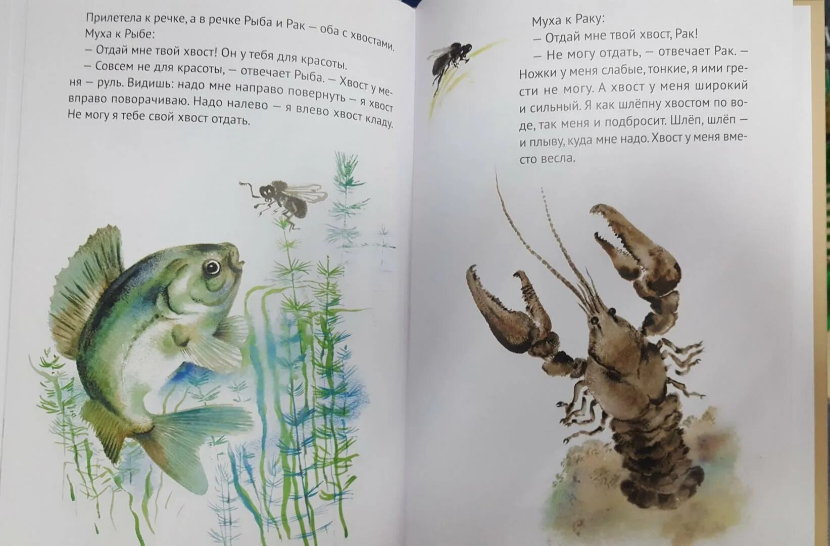 Хвост читать 2 класс. Хвост читать 2 класс