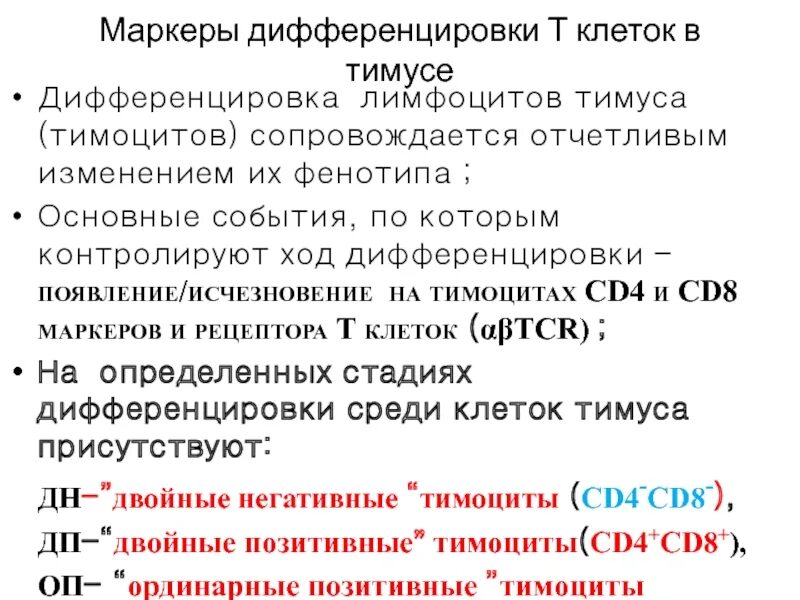 Дифференцировка в тимусе. Cd маркеры т лимфоцитов. дифференцировка т лимфоцитов в тимусе. стадии дифференцировки т лимфоцитов в тимусе. маркеры дифференцировки т- и в-лимфоцитов.