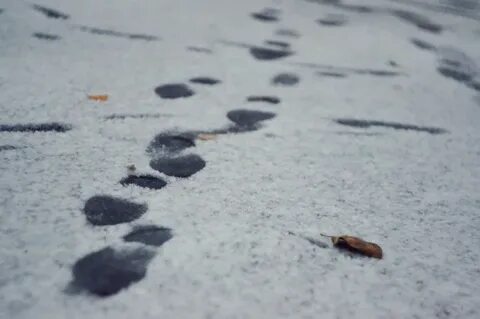 На асфальте снег ложится
