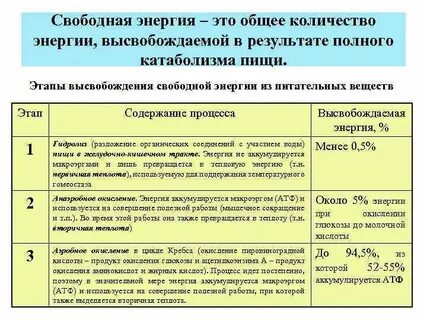 Энергия питательных веществ