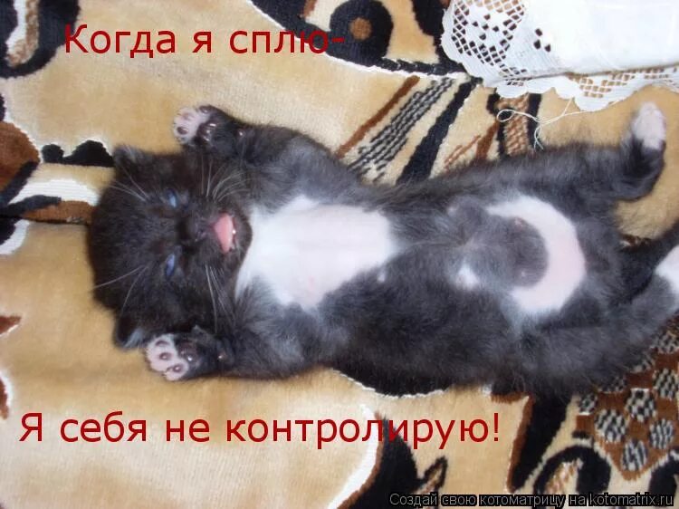 Пузо чешешь