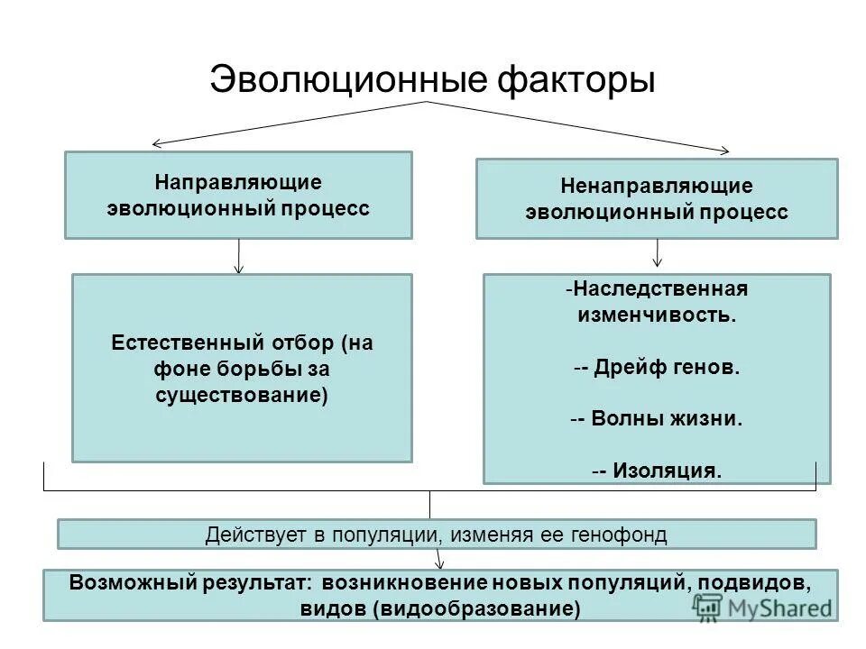 Эволюционные факторы направляющие эволюционный процесс. Элементарные факторы эволюции таблица биология 9 класс. Направляющие и Ненаправляющие факторы эволюции. Взаимодействие элементарных факторов эволюции.. Какую роль в эволюционном процессе играет борьба