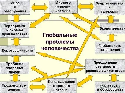 Приведите примеры мирового
