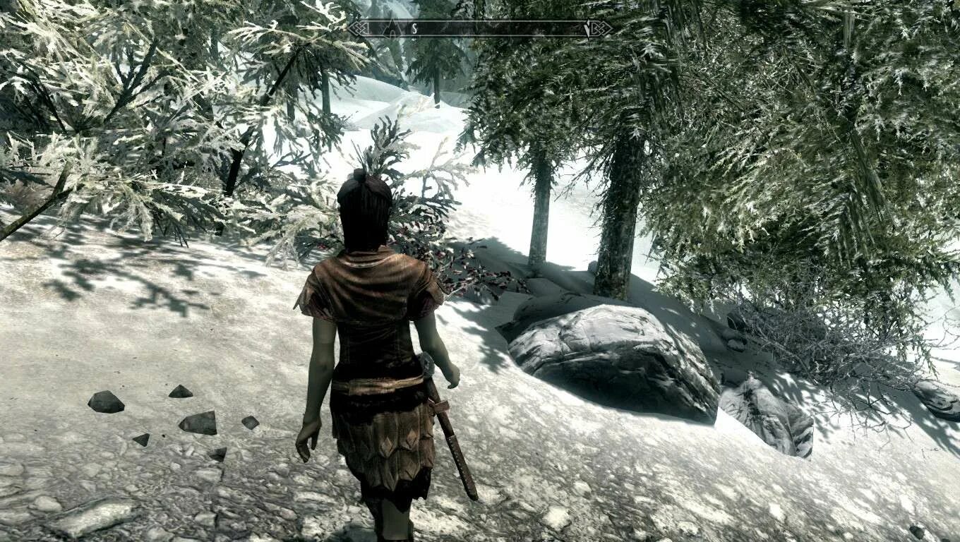 Скайрим мод анимация лица. Анимация скайрим. скайрим мод пляж. skyrim анимация сна. сборка анимация для скайрима.