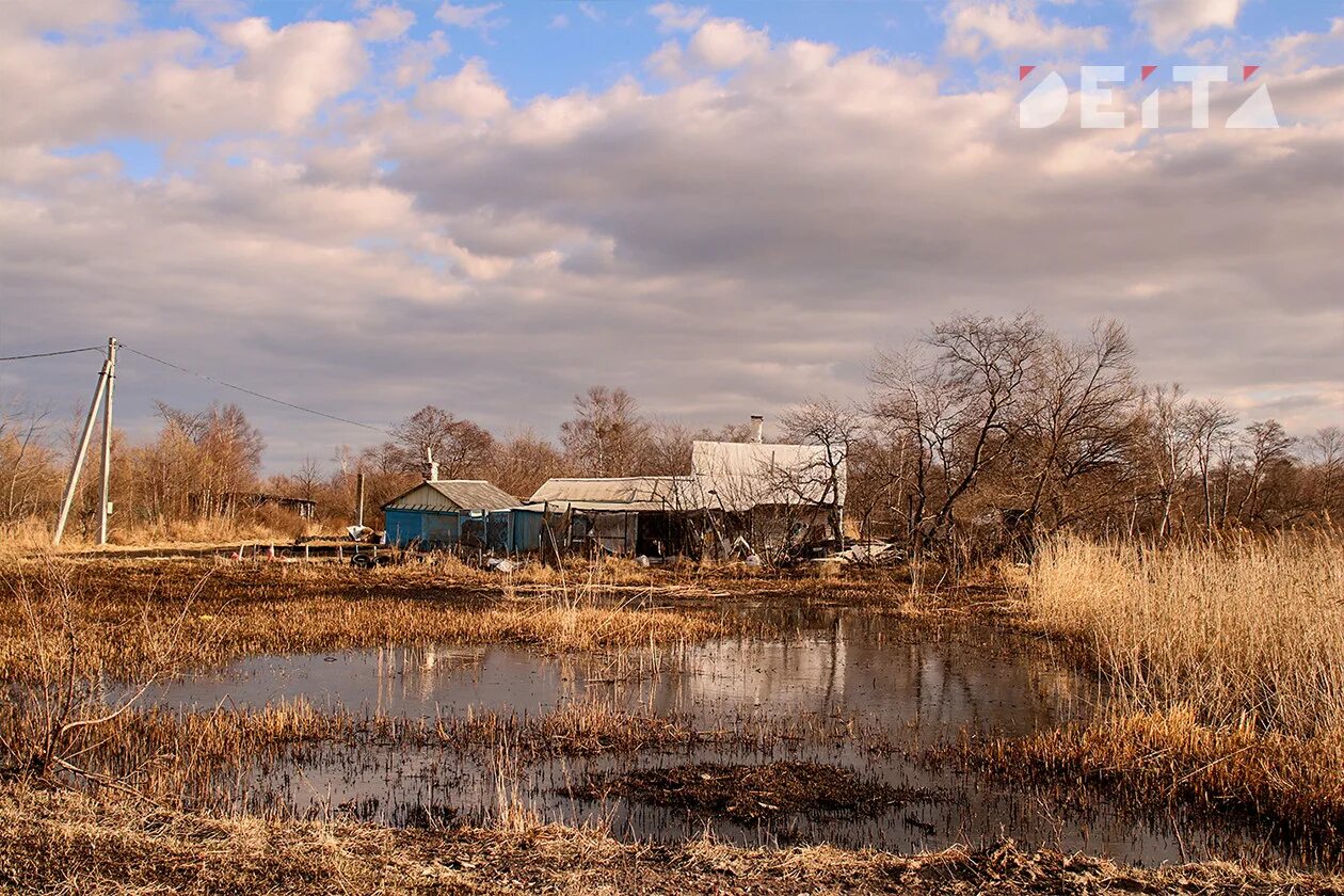 П тавричанка надеждинский район приморский край. Владивосток поселок тавричанка. Лиман реки раздольная тавричанка. П. Тавричанка приморский.