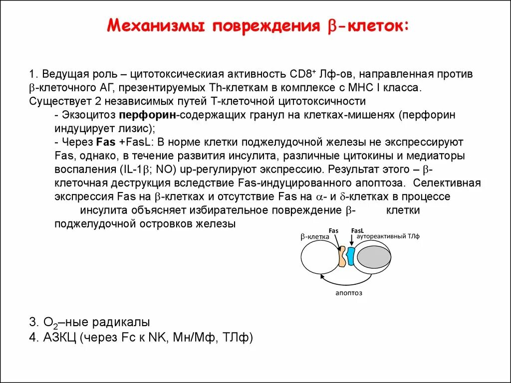 Механизмы повреждения клеток. Механизм аутоиммунных заболеваний. Механизмы развития аутоиммунных заболеваний. Механизмы повреждения клеток при аутоиммунных заболеваниях. Все клетки больного мужчины имеют 47