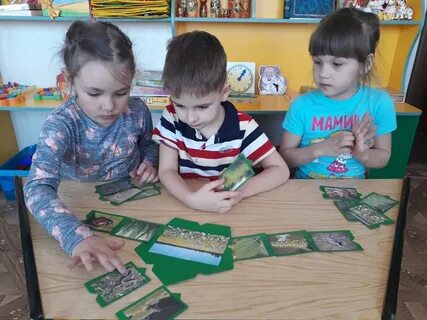 Проведена экологическая игра