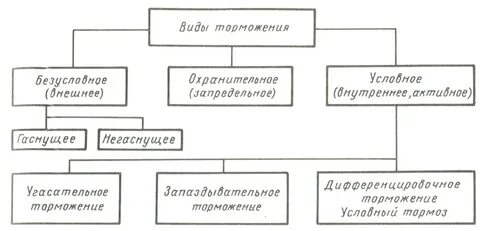 Виды тормозов сдо