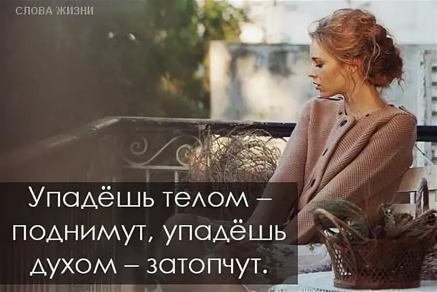 Упаду поднимут пропаду найдут. Упадёшь телом поднимут упадёшь духом. упадёшь телом поднимут упадёшь духом затопчут картинки. цитата упадешь телом поднимут упадешь духом затопчут. упадёшь поднимут пропадешь найдут.