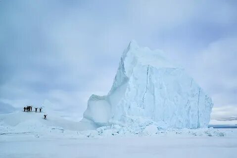 Зона арктических пустынь видео