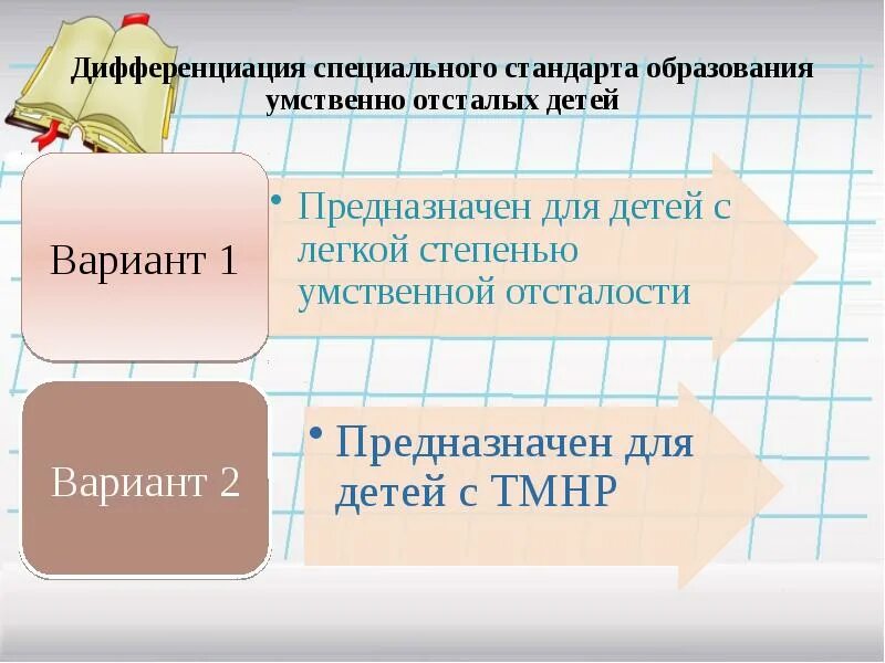 2 вариант обучения детей. Варианты обучения детей с умственной отсталостью. фгос для умственно-отсталых детей. профориентация для детей с умственной отсталостью. варианты обучения детей с уо.