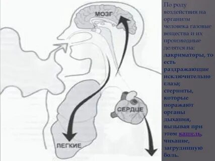 Действие род