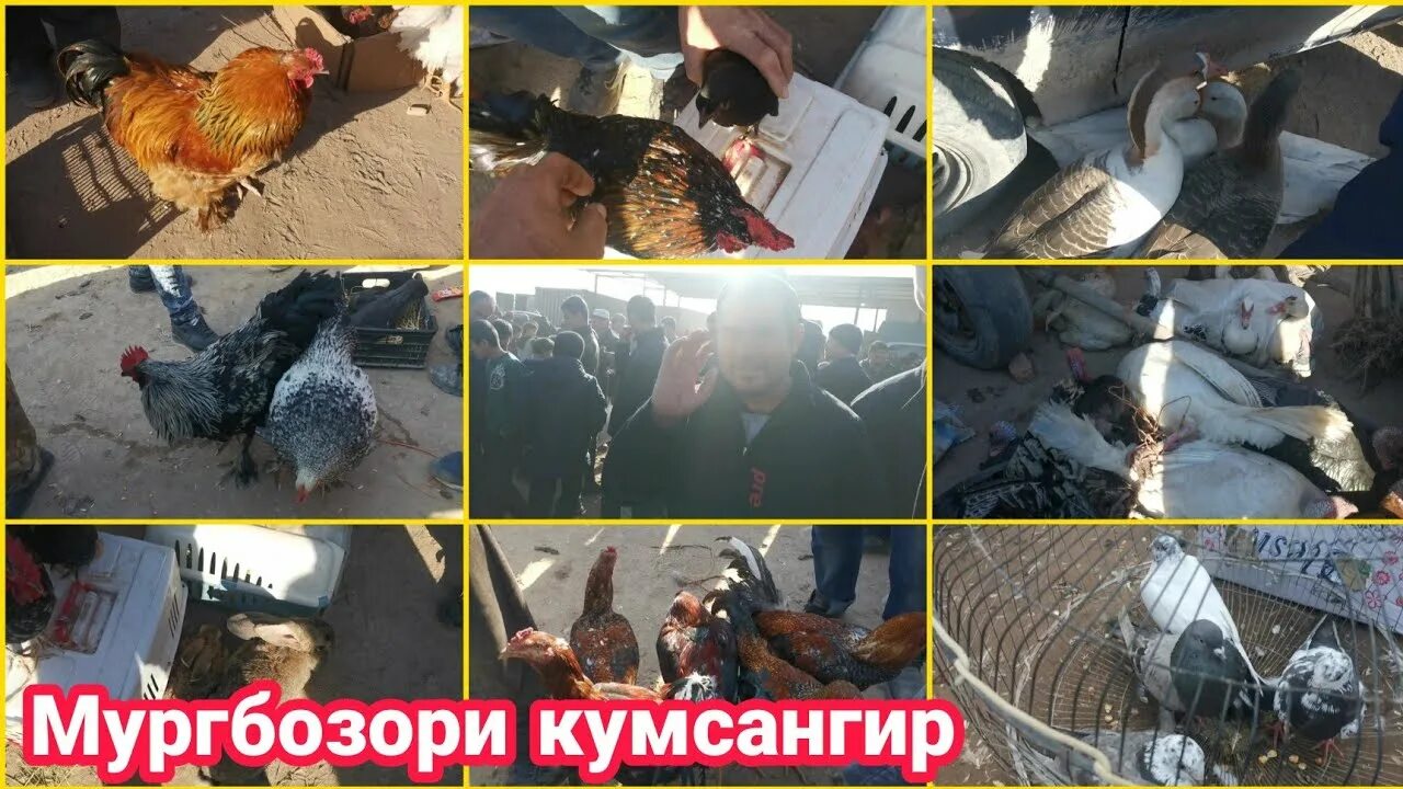 Дамбада