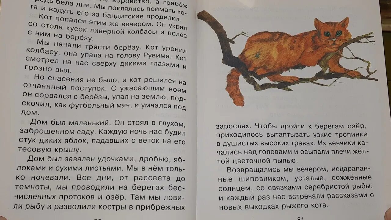 Паустовский кот ворюга читать полный. Паустовский к. "кот-ворюга". Рассказ Паустовского кот ворюга. Иллюстрация к рассказе к.г.Паустовский кот ворюга.