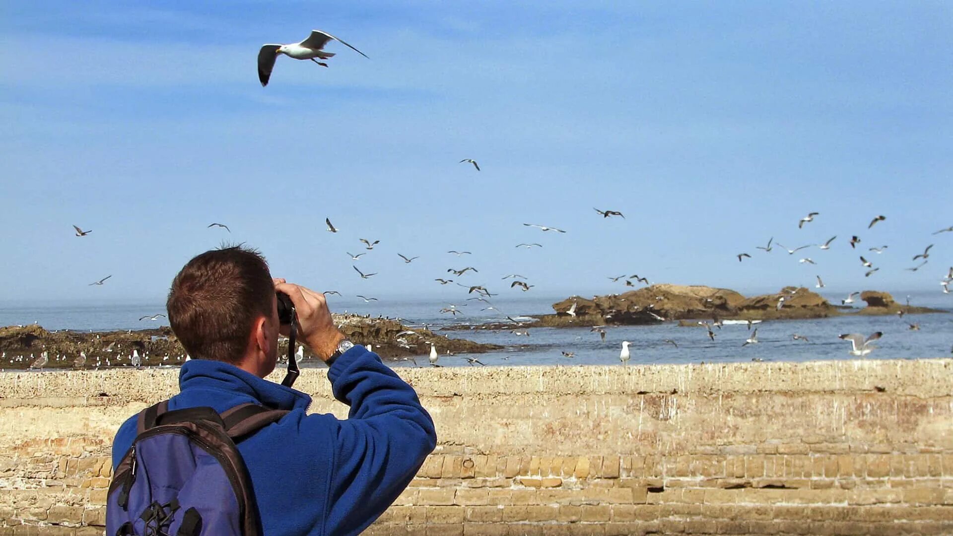 Bird watcher