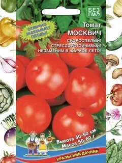 Томат москвичка фото отзывы