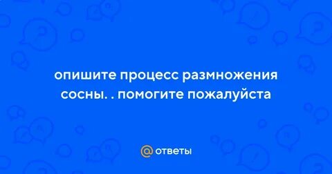 Опишите процесс размножения сосны