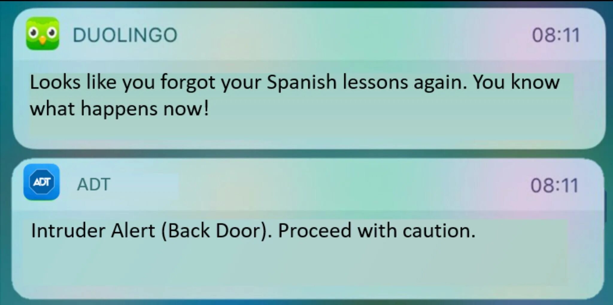 You know you like it. Duolingo memes. duolingo мемы. duolingo мемы на русском. looks like you forgot your spanish lessons again.