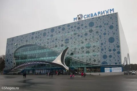 Вднх павильон москвариум