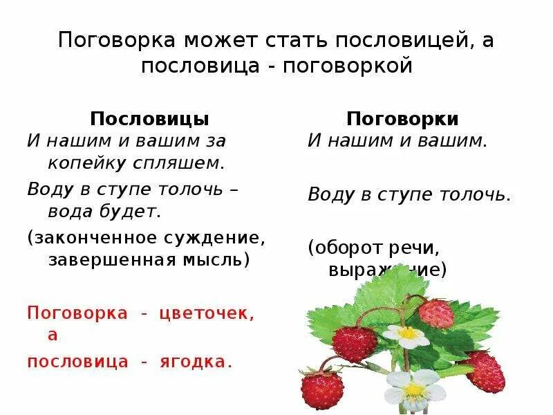 Пословицы поговорки загадки про. Пословицы, поговорки, загадки.