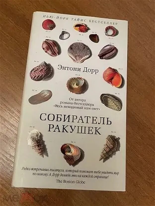 Аудиокнига собиратели ракушек слушать. Аудиокнига собиратели ракушек слушать