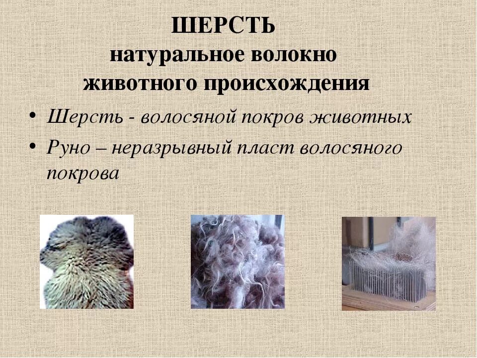Шерсть презентация