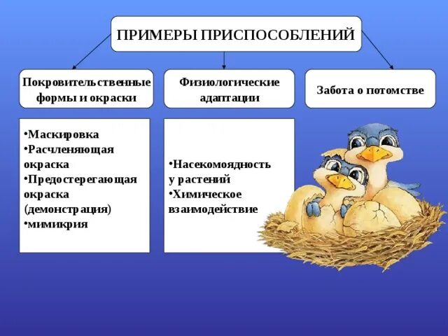 Примеры проявления заботы. Забота о потомстве физиологические адаптации. Физиологическая приспособленность. Физиологические адаптации у растений и животных. Забота о потомстве приспособление организмов.