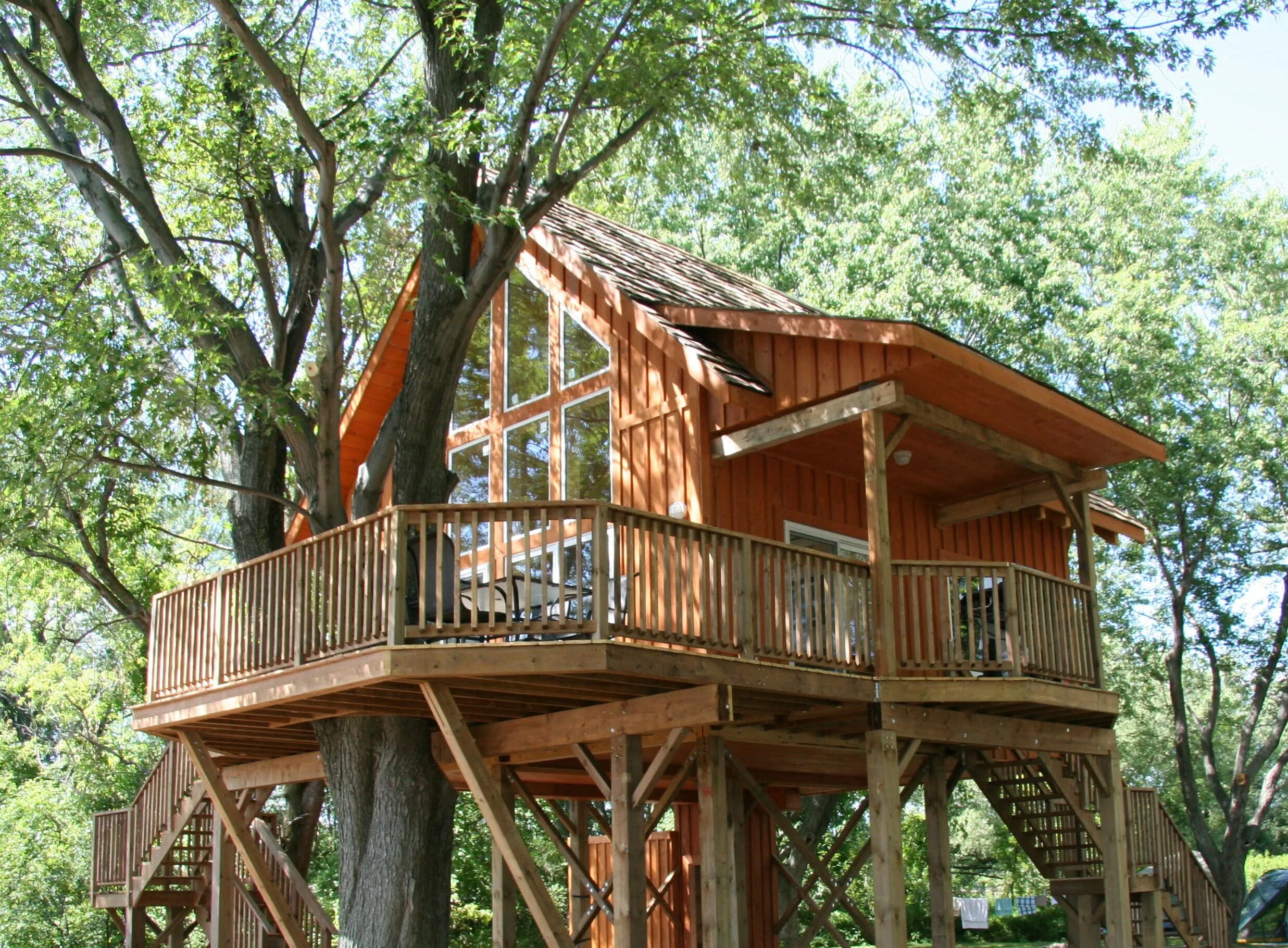 Дом на деревьях Шотландия климанрюк. Tree House Кишинев. Treehouse домик на дереве. Домик в деревне. Дом дерево где находится