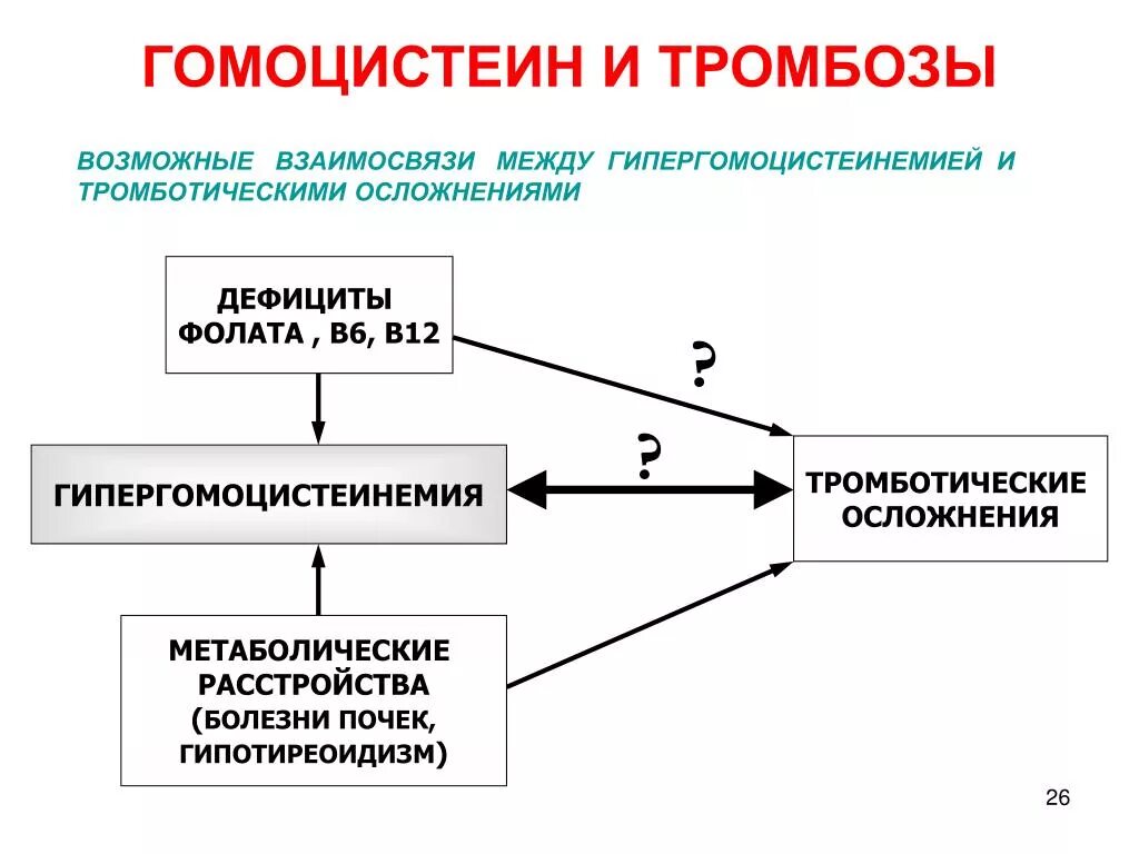 Гомоцистеин. ГОМОЦИСТЕИНГОМОЦИСТЕИН. Повышенный гомоцистеин. Гомоцистеин и витамин в12.