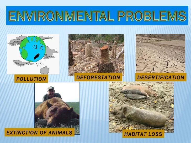 The problems of environment are. Environmental problems картинки. environmental problems таблица. таблица environmental problems solution. ecological problems таблица.