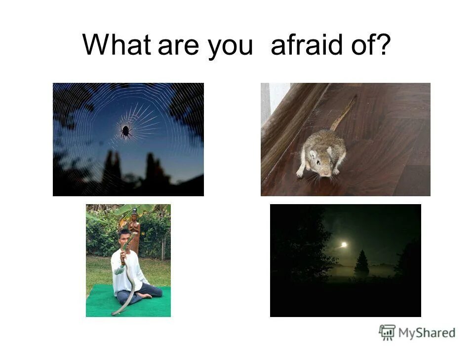 Be afraid be kind of afraid. What are you afraid of Worksheet. What are you afraid of. Be afraid of картинки для детей. Карточки what are you afraid of.