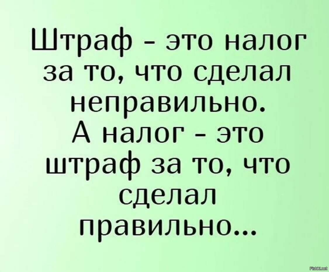 Сделай анекдот. Смешные фразы про налоги. Смешные цитаты про налоги. Анекдоты про налоги. Анекдоты про налоговую смешные.