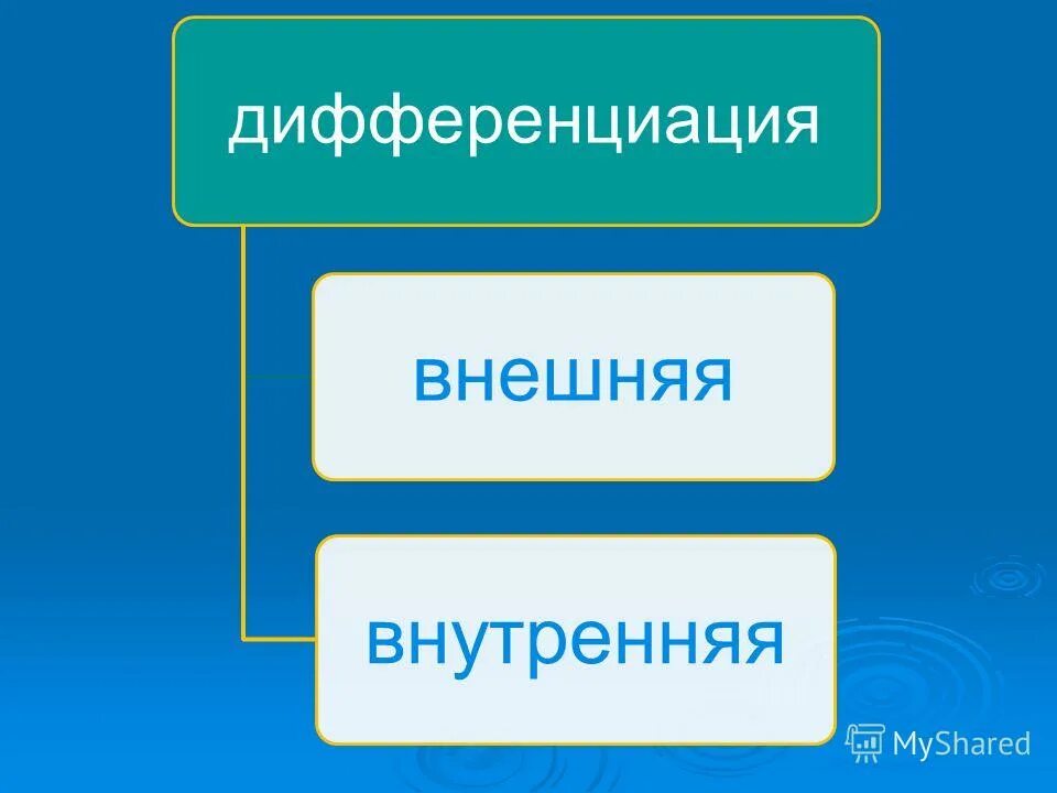 внешняя и внутренняя дифференциация. внешняя дифференциация. виды дифференцированного обучения. внешняя дифференциация. внешняя и внутренняя дифференциация.