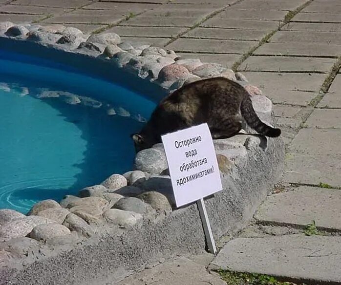 смешные фразы про золушку. позвольте вам возразить позвольте вам не позволить. фаина раневская 1984. вот лежу красивая. приятные моменты в жизни.