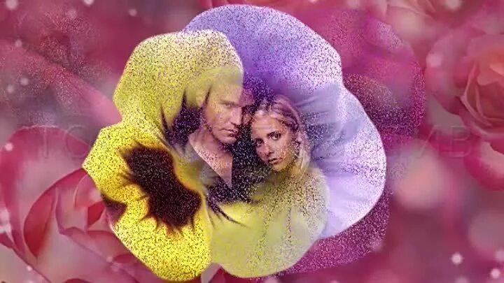 Алые фиалки изображение. Фиалка ле песня любви. Алые фиалки изображение. Песня фиалка алая. Песня фиалка алая.