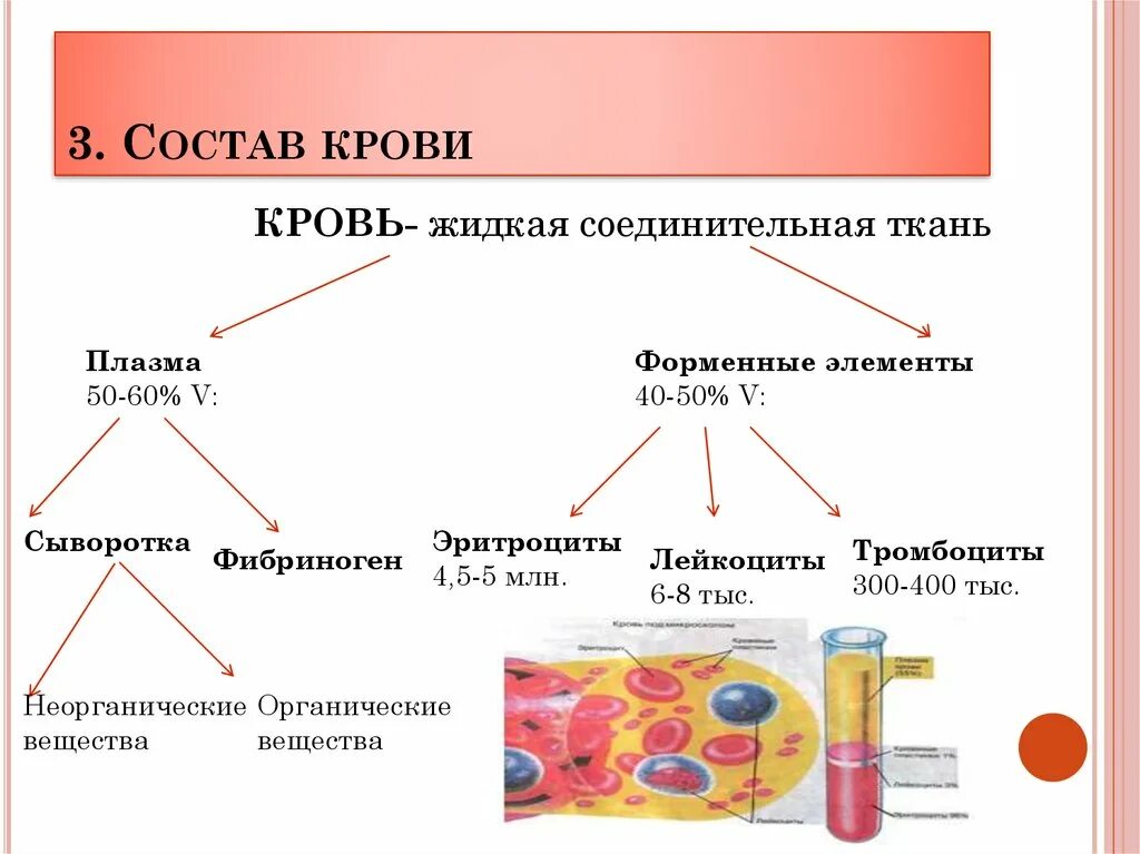 Схема составных частей крови. Схема строения состава крови. Строение крови человека схема. Составные элементы крови и их функции.