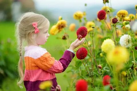Cassandra pick the flowers