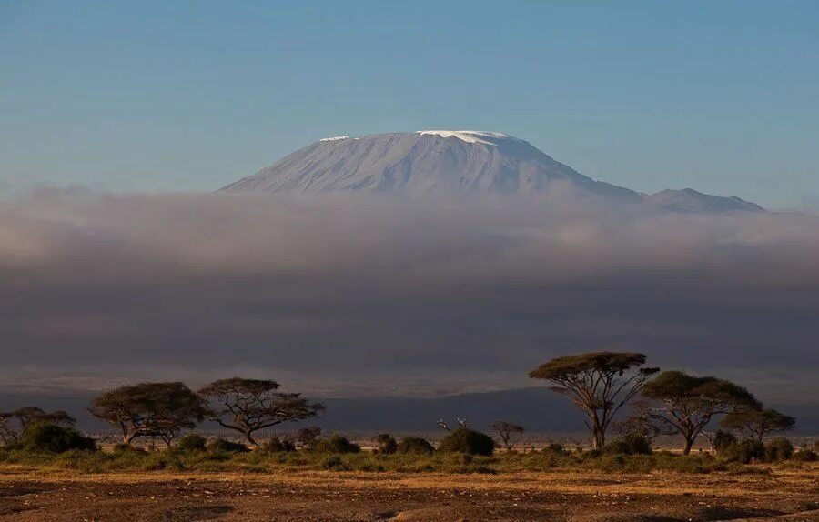 Острова юго восточной африки. Вулкан Килиманджаро. Килиманджаро Африка. Парк Килиманджаро в Африке. Восточная Африка Килиманджаро.