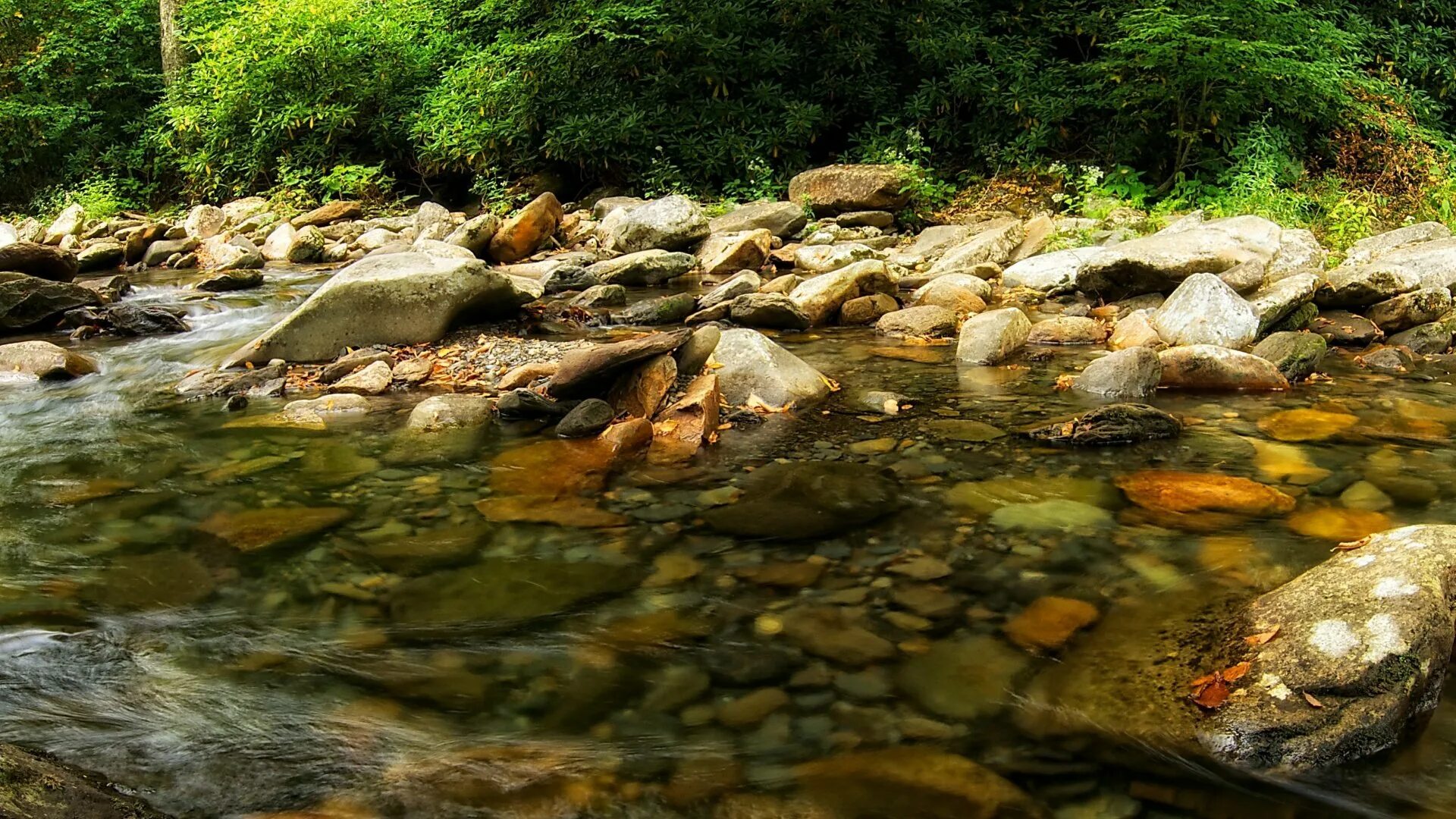 Stone river. Речка Каширка камни. Ручей с камнями. Камешки в ручье. Лесная река.