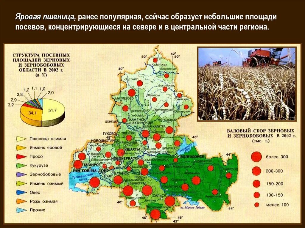 Величина ростовской области. Карта сельского хозяйства Ростовской области. Экономическая карта Ростовской области. Сельское хозяйство Ростовской области диаграмма. Растениеводство Ростовской области.