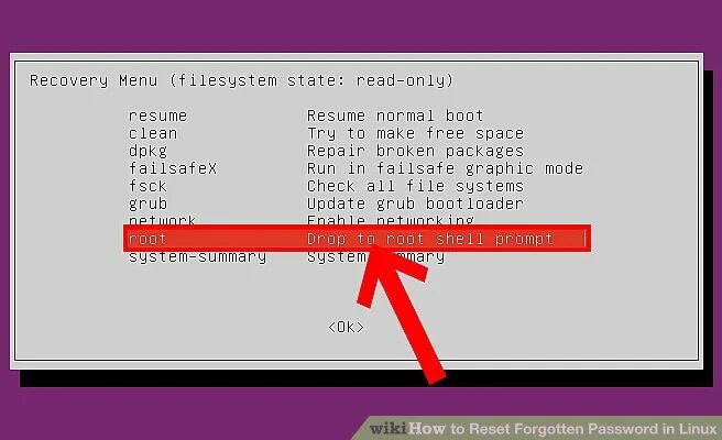 Grub recovery. Режим восстановления ubuntu. восстановления linux. ubuntu recovery. recovery menu.