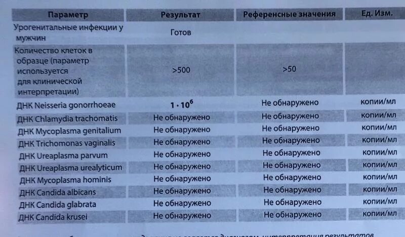 Результаты анализов на ЗППП. ПЦР анализ. Анализ на инфекции, передаваемые половым путем. Урогенитальные инфекции ПЦР. Анализы передаваемые половым путем