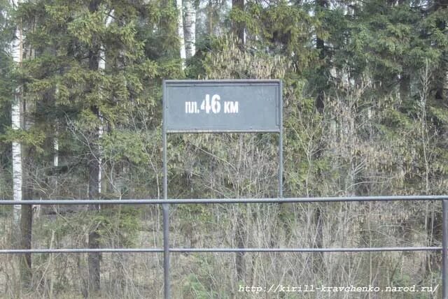Эд4м-0298. Расписание поездов новосибирск. Расписание электричек балтийский вокзал луга. Витебский вокзал расписание. Заринск-барнаул электричка на завтра.