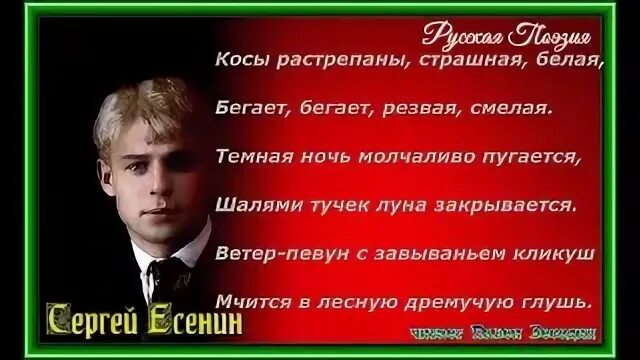 Есенин капли