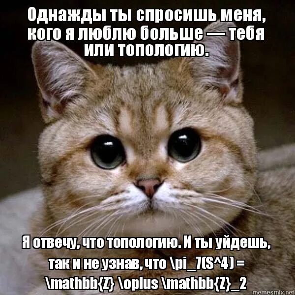 твое добро тебя погубит. она ушла стих. однажды ты узнаешь песня.