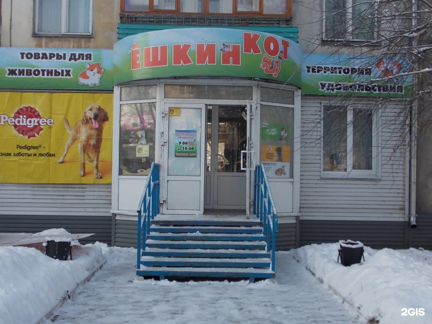 ешкин кот нижневартовск. ёшкин кот кафе тюмень. кот екарный бабай. ешкин кот нефтекамск зоомагазин. ёшкин кот бийск.