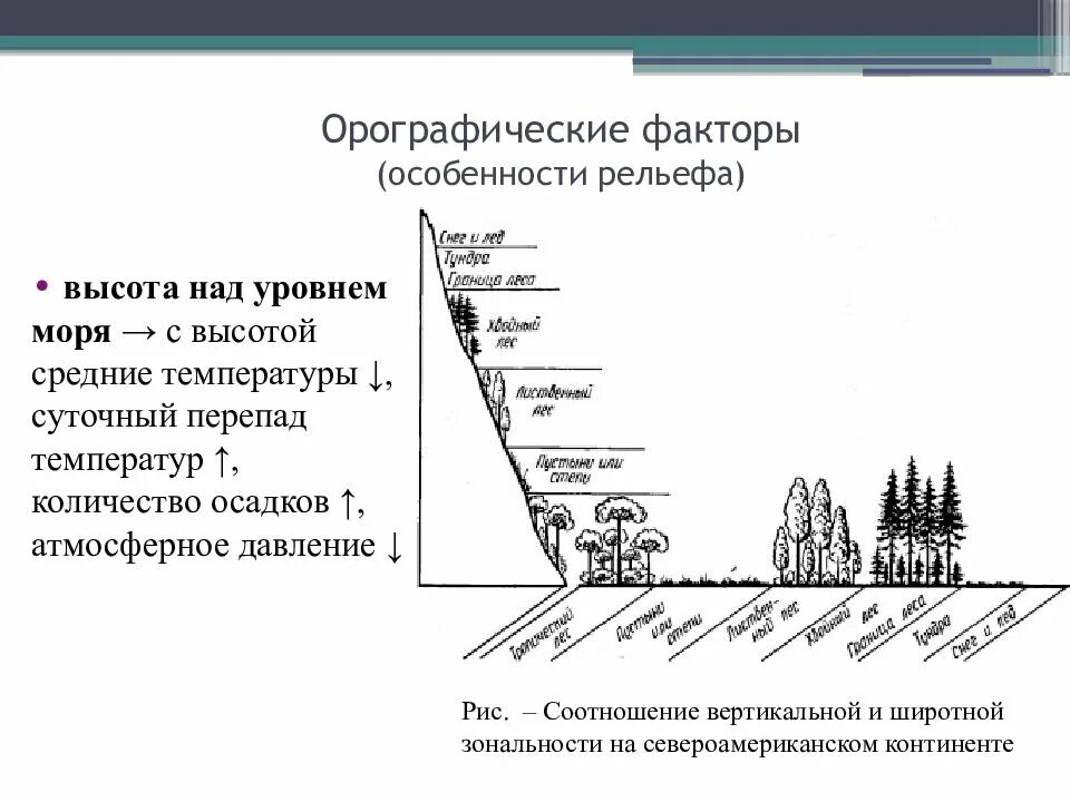 На какой высоте москва над уровнем моря