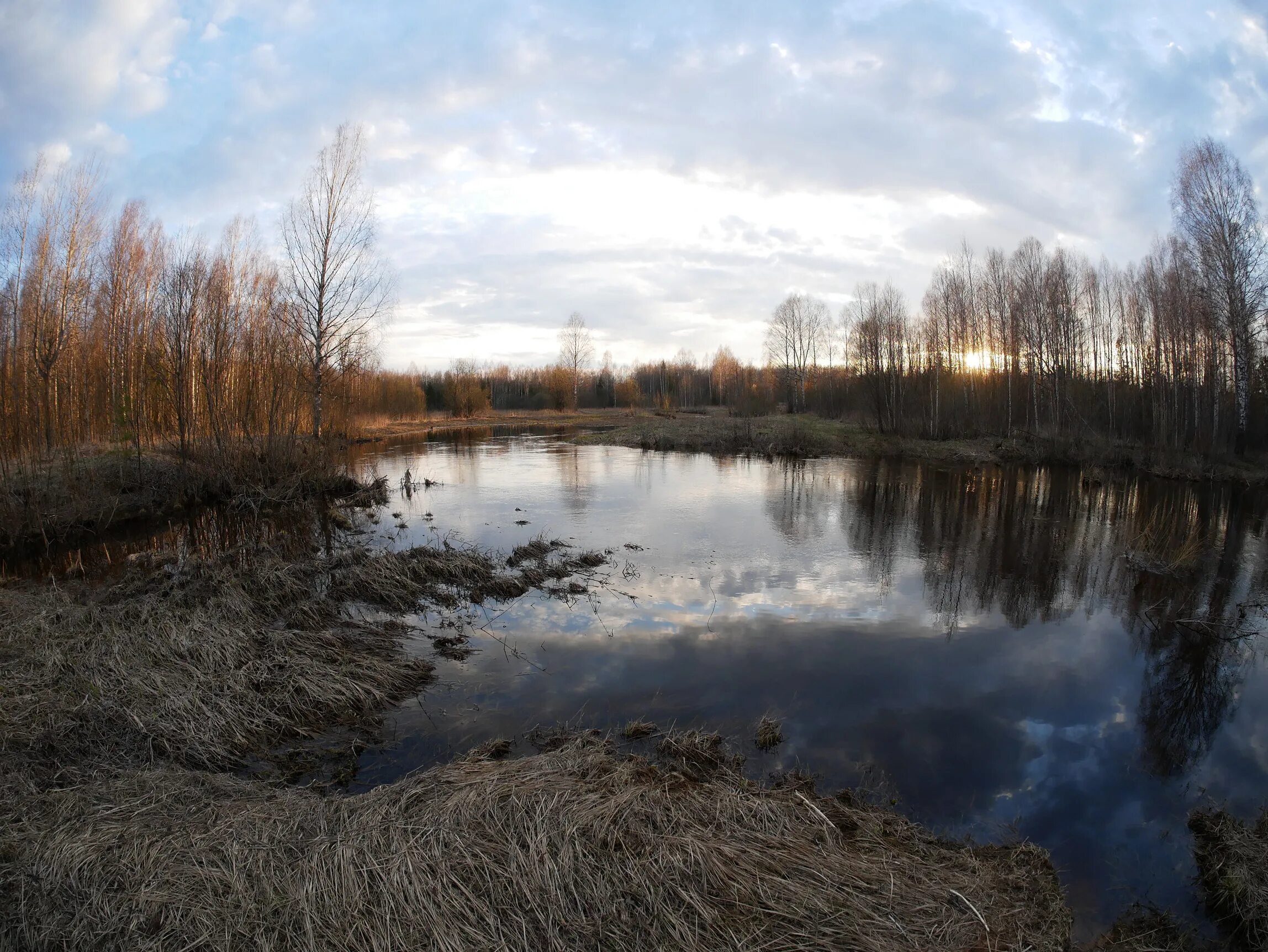 Уровень воды в унже сегодня. Река Унжа Костромская область. Унжа река Макарьевский район Костромская область. Река Унжа Горчуха. Река Унжа Ардабьево.